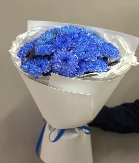 Blue chrysanthemum bouquet with fresh blue blooms.