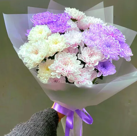 Elegant purple and white chrysanthemum bouquet with five stems, ideal for sympathy or comfort